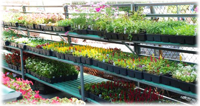 Garden Center Slide