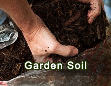 Garden soil 