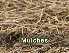 Mulches 